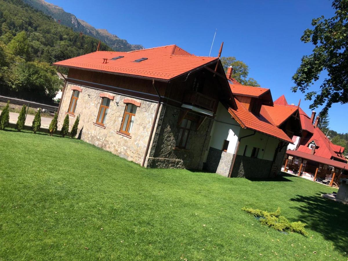 Pensiunea Piscul Cainelui Sinaia Eksteriør billede